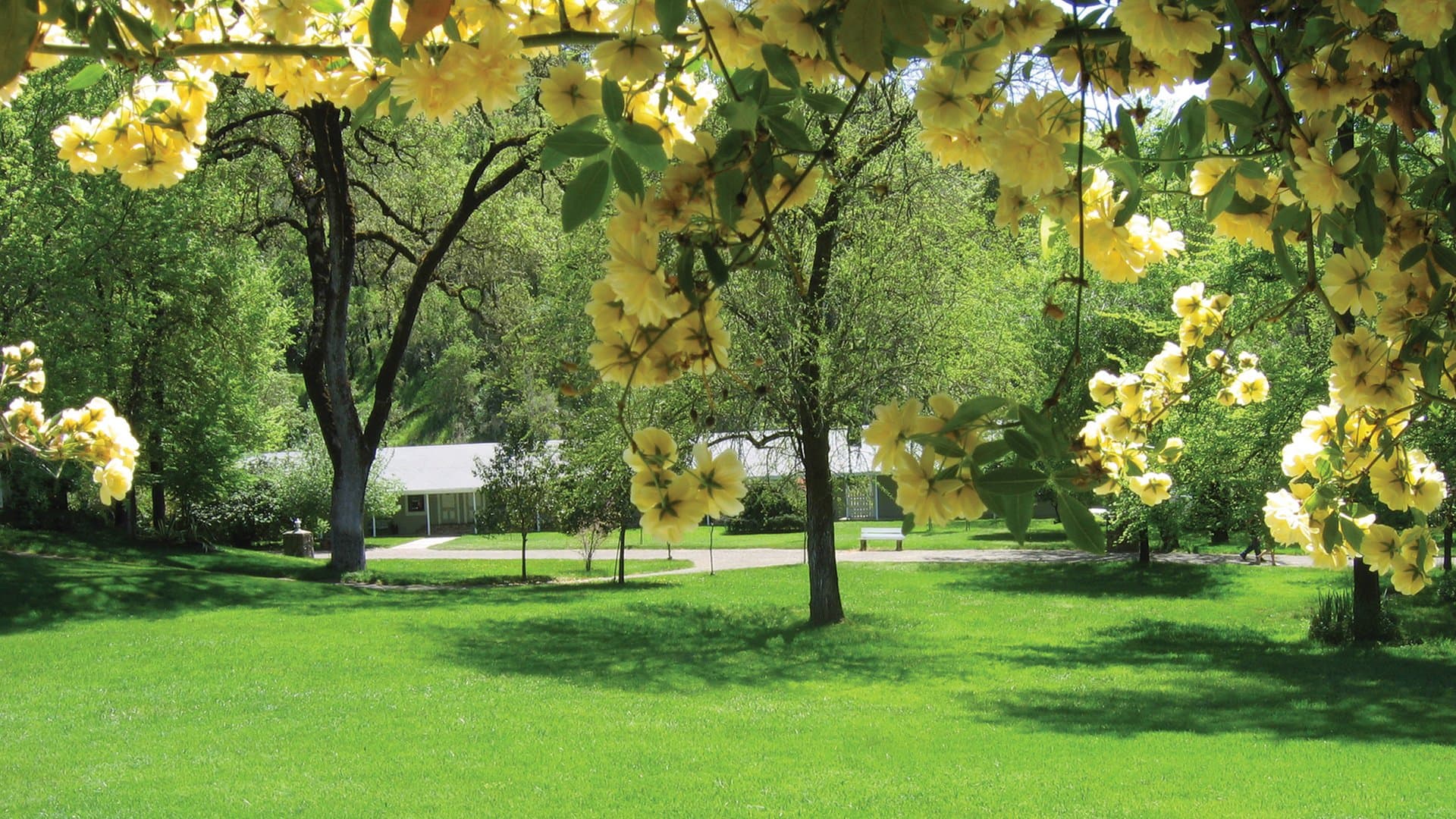 Vichy Springs Mineral Hot Springs Resort