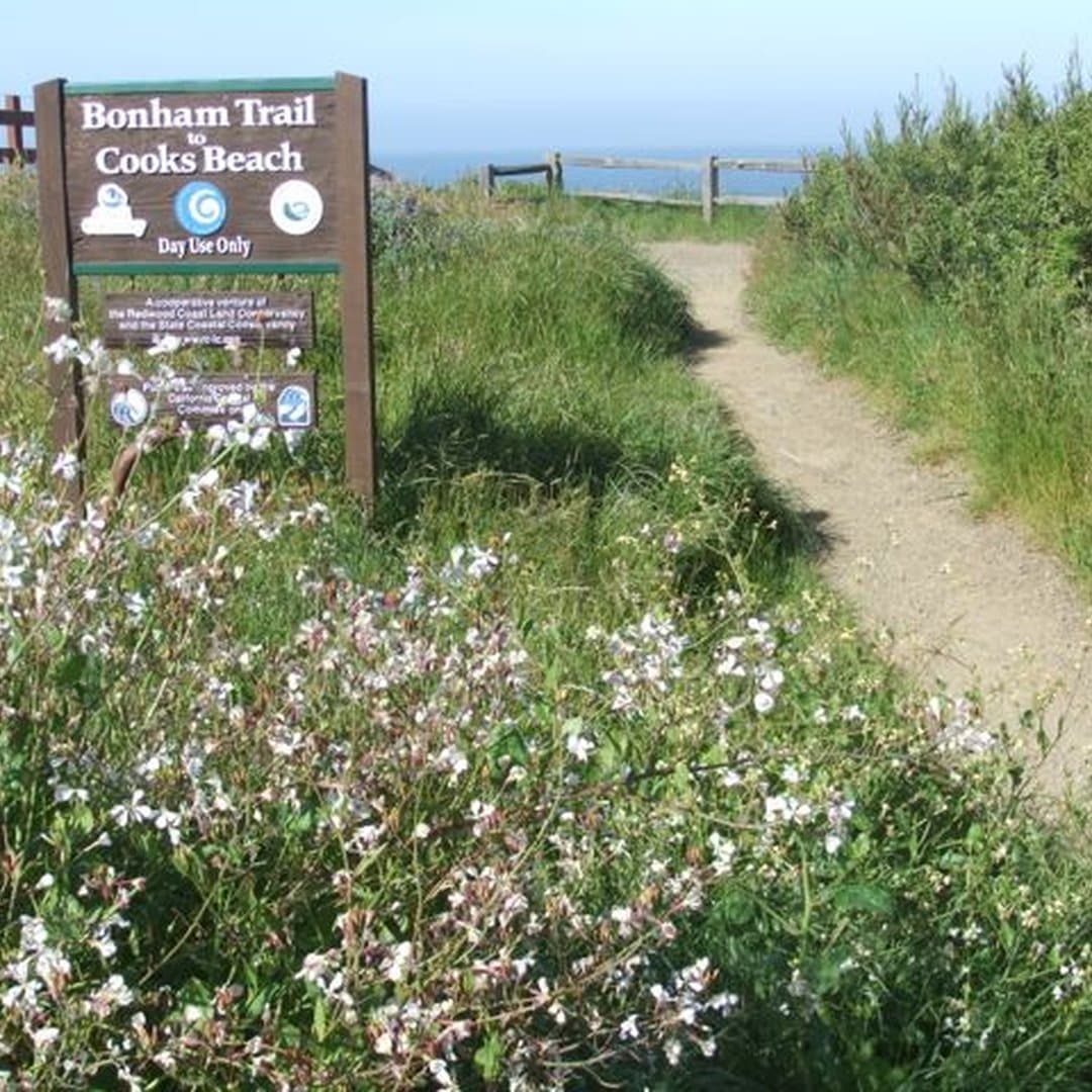 Bonham Trail to Cooks Beach