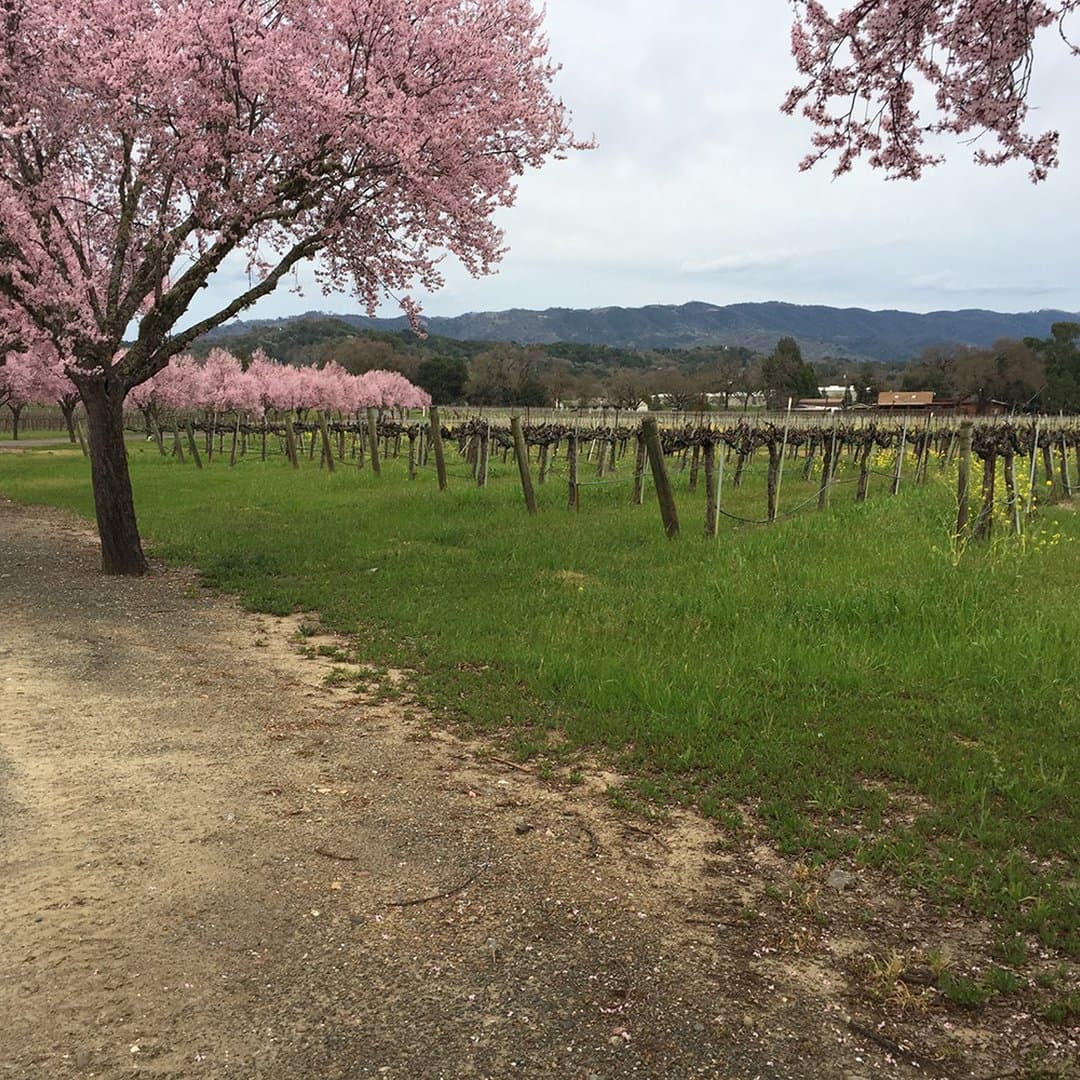 Ukiah Valley Conference & Visitor Center