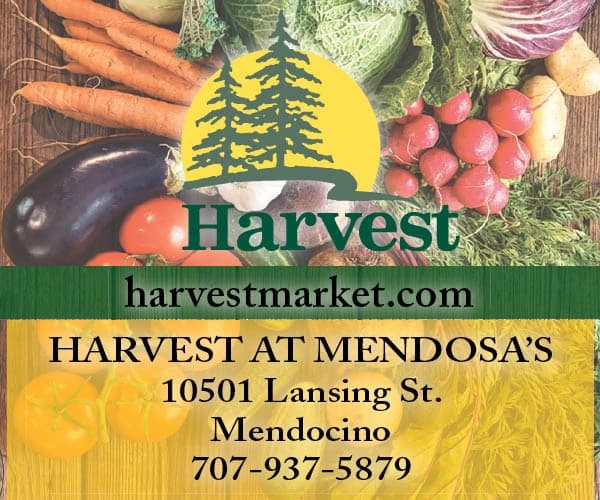 Harvest Market
