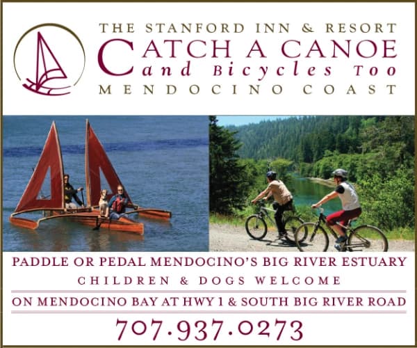 Catch a Canoe and Bicycles Too