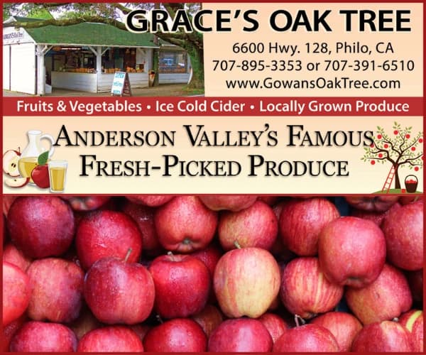 Grace's Oak Tree