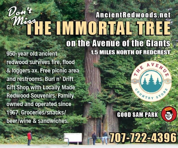 Ancient Redwoods RV/Immortal Tree