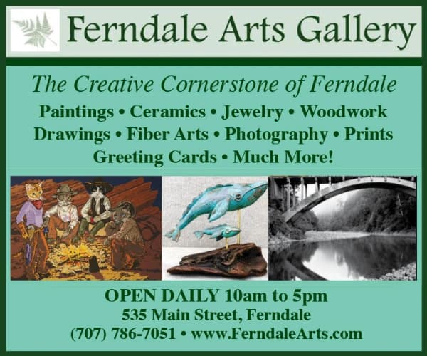 Ferndale Arts Gallery
