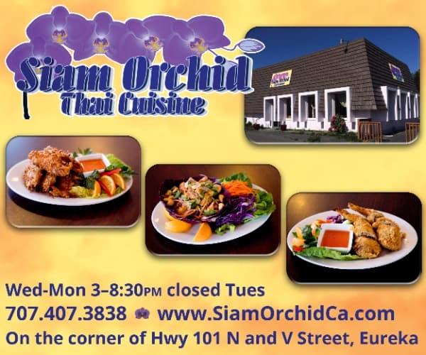 Siam Orchid