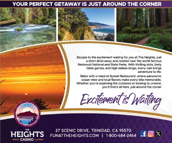 The Heights Casino
