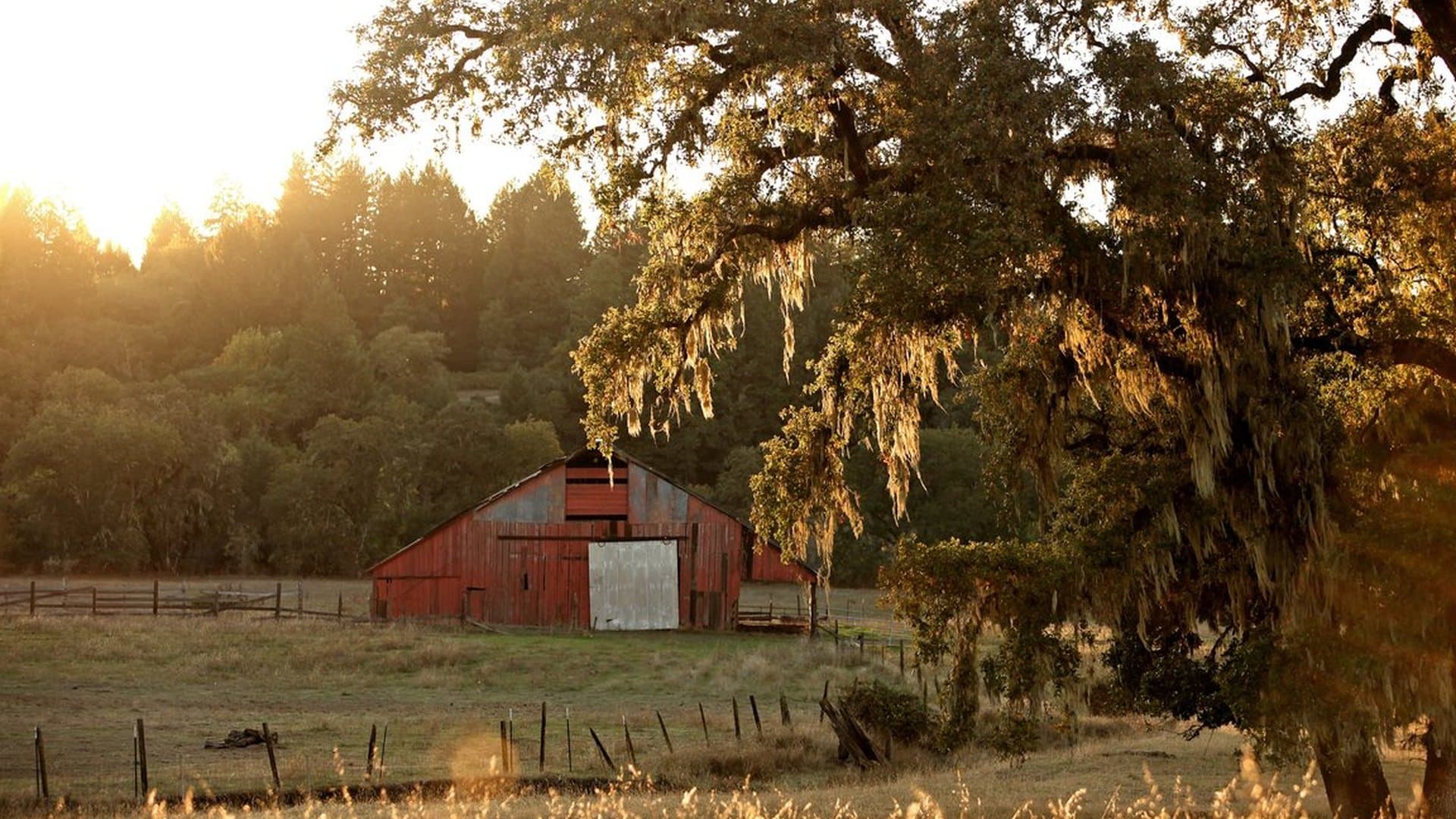 Willits